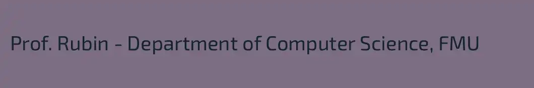 Prof. Rubin - Department of Computer Science, FMU